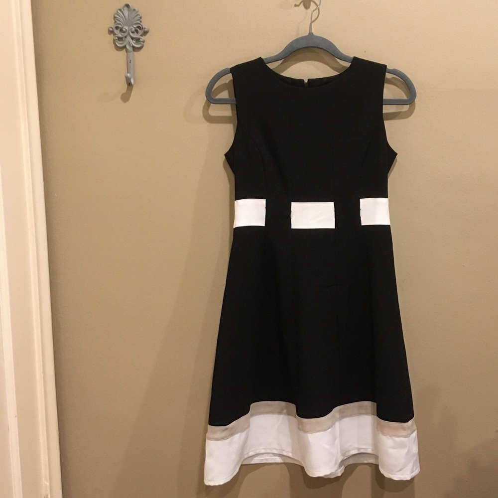 Calvin Klein Fit & Flare Colorblock Dress Size 4P - Picture 2 of 9